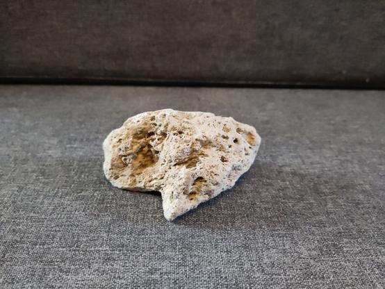 A piece of rock with holes in it.