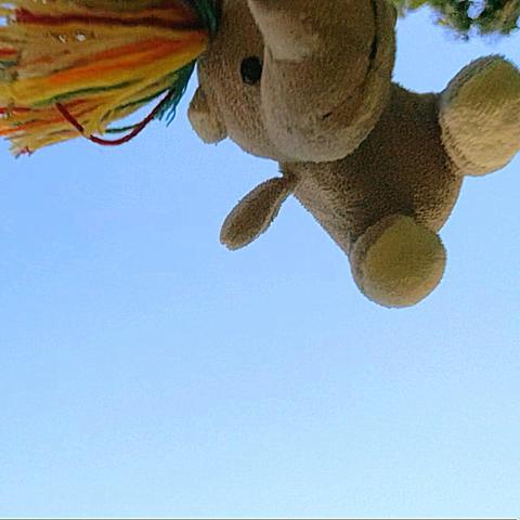 Aufnahme nach oben in den hellblauen Himmel, in der oberen Bildhälfte das kleine Plüscheinhorn Carola im freien Flug mit wehendem Haar aus bunten Wollfäden, die den oberen linken Bildrand ausfüllen, ihr Kopf ist angeschnitten, die Spitze des Horns berührt den oberen Bildrand mittig, der restliche Körper bildet eine Diagonale über den oberen rechten Bildbereich.