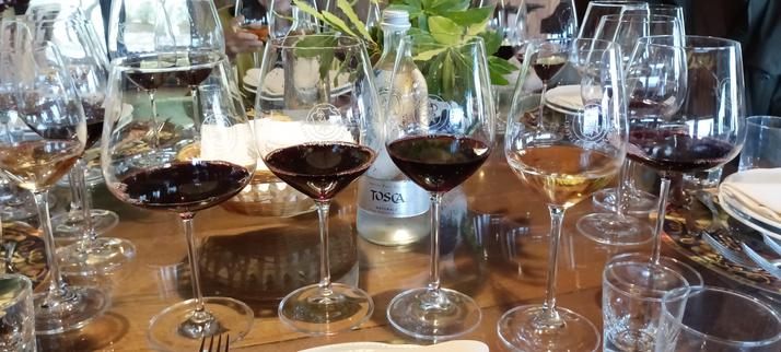 Four glasses of wine arranged on a table. From left to right, there are three red wines, in decreasing intensity, and a white wine.