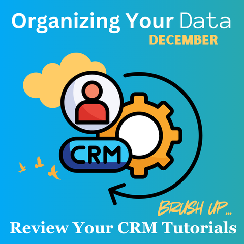 A blue gradient background with a cloud and three flying birds in gold yellow. Center graphic: A gear icon, a profile icon, and arrow circling clockwise; the words CRM on a blue button. Top: "Organizing Your Data... December" ; Bottom: "Brush up... Review Your CRM Tutorials"
