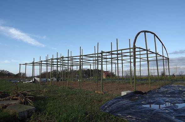 structure en cours de construction de la serre de production en bambous