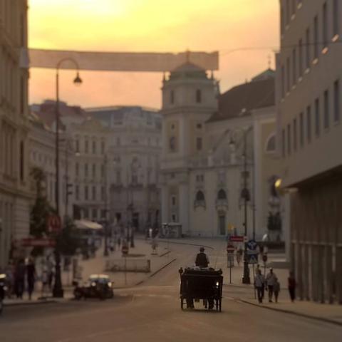 Captured 9 years ago in Vienna: A horse-drawn carriage traversing a modern road at sunset. A reminder that even as the world changes around us, we continue to journey forward, blending the past with the present.