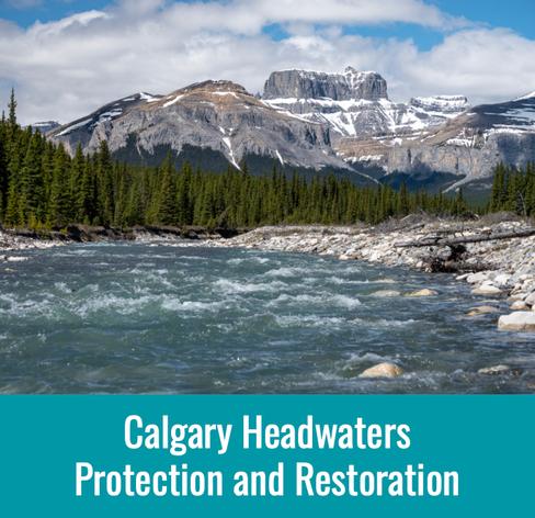 Banner: Calgary Headwater Protection and Restoration - Image: nature/mountain/river scene