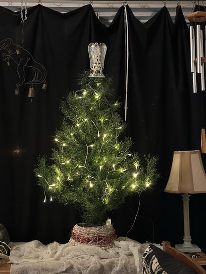 A three foot high fake Christmas tree, with twinkly lights and a traditional (not biblically accurate) angel on top.  It’s on a side table covered with a white fluffy glitter coated thing from the 80s, which is in front of a window with closed black drapes. Hanging from the curtain rod are two windchimes. A t-rex windchime is to the left; a large traditional windchime is to the right.  A white stick used for drapery pulling is seen just behind and to the right.