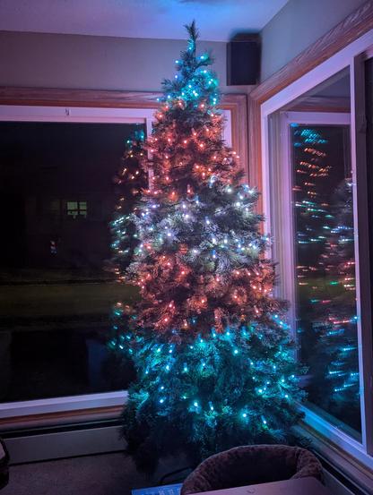 A "Christmas" tree covered in addressable LED strands. It is lit in such a way that resembles a transgender pride flag, with 5 (roughly) equal stripes. There are light blue stripes on top and bottom and two pink stripes separated by a white stripe in the middle.