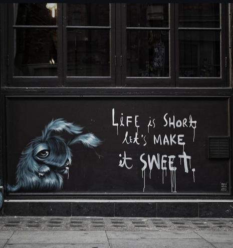 Streetartwall. A fluffy fantasy creature with a saying was sprayed/painted on a black, narrow wall under a wide window. A small, gray, fluffy creature with very large eyes, curved ears and a broad nose sits on the floor next to a handwritten saying. The text reads: "Life is short, let's make it beautiful".
Note: The photo is already a few years old, and I've heard that the mural no longer exists. What a pity.