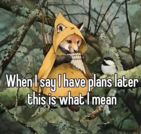 Fox playing pan pipes. Text: When I say I have plans later this is what I mean.