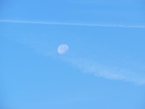 A picture of the blue sky with some light clouds and a chemtrail with earth's moon visible.