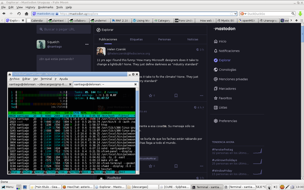 Captura de terminal con htop y navegador Palemoon