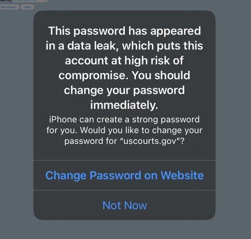 Screenshot from pacer telling me that my password has appeared in a data breach which puts this account at high risk of compromise and I should change it immediately. (I was logging onto UScourts.gov.)
