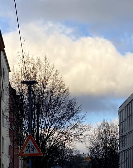 Straßenszene mit kahlen Bäumen, hohen Häsuern und einem Schild für eine Schul-Zebrastreifen. Darüber ein "gestreifter" Himmel mit abwechselnd blaugrauen, schweren Wolken und hellblauem Himmel.