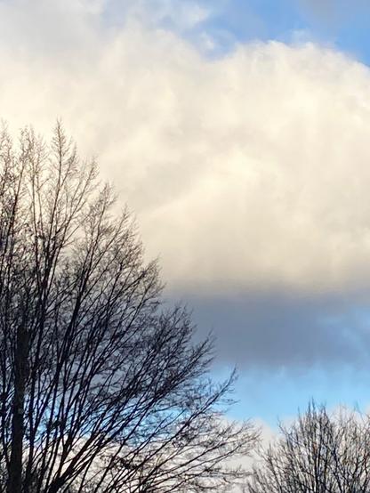 Ein "gestreifter" Himmel mit abwechselnd blaugrauen, schweren Wolken und hellblauem Himmel. Davor kahle Bäume.