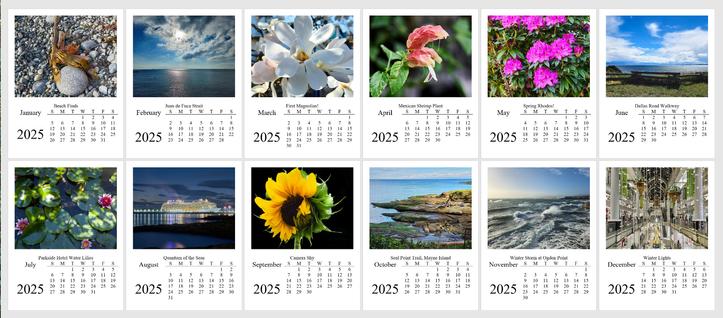 This image shows all 12 of our calendar pages, each with an image at the top and the monthly calendar at the bottom. They're aligned in two rows of six months each.