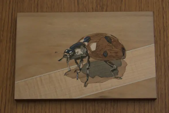 veneer marquetry image of a ladybug