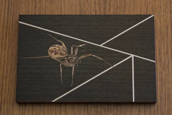 veneer marquetry image of a spider