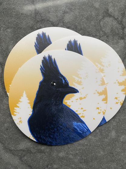 Steller’s Jay sticker in profile against Doug fir trees on a golden background