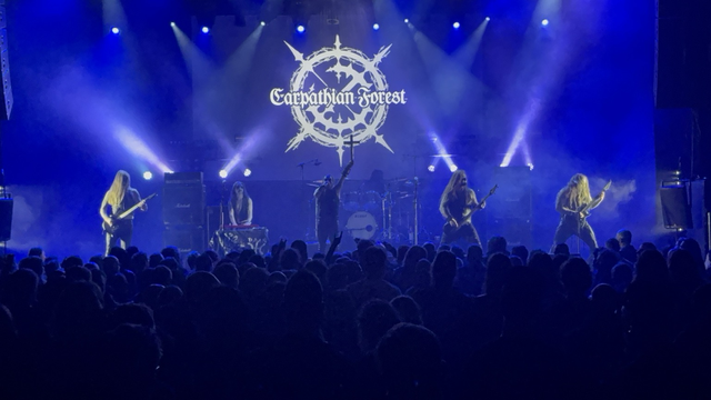 Carpathian Forest
