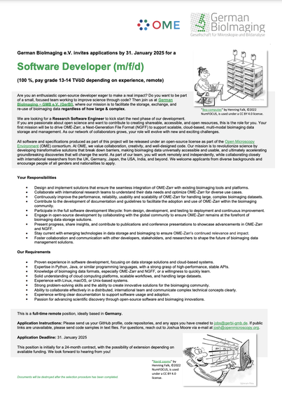 A screenshot of the linked PDF titled "Software Developer (m/f/d)"