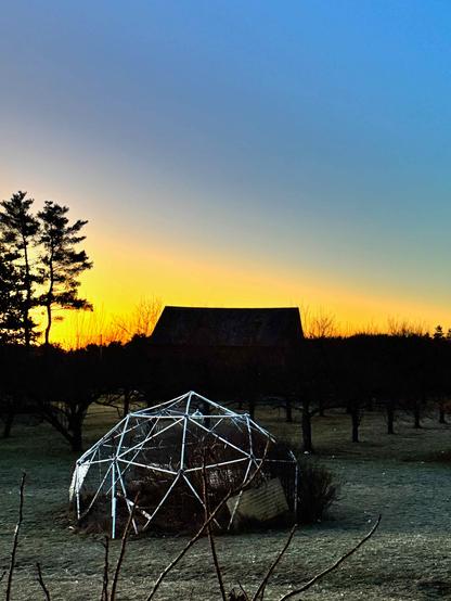 geodesic chicken coop in the foreground, barn and trees in the background