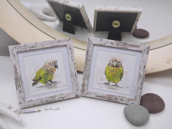 handgemalte gerahmte Aquarell-Illustrationen Kakapo (Papageienart, grünlich-gelb)