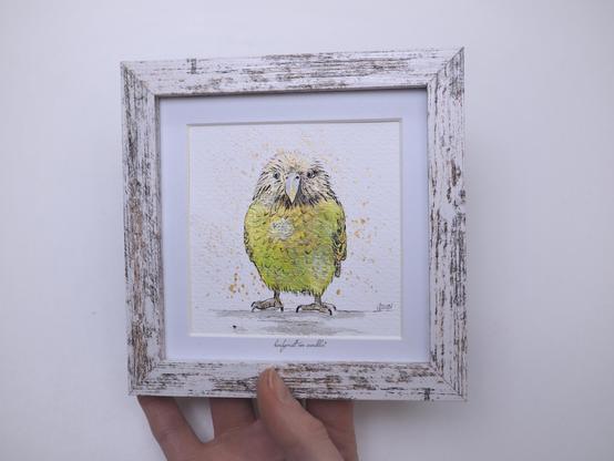 handgemalte gerahmte Aquarell-Illustrationen Kakapo (Papageienart, grünlich-gelb)