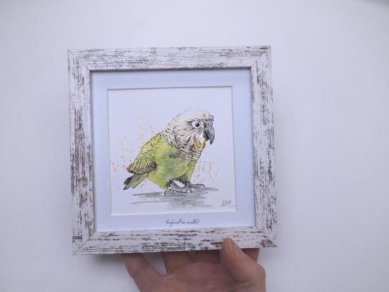 handgemalte gerahmte Aquarell-Illustration Kakapo (Papageienart, grünlich-gelb)