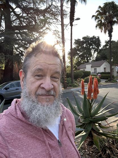 Man with dark hair and a gray beard in a pink hoodie, slightly open at the front and showing a white T-shirt. A large aloe that is blooming is to the right. Behind him above his head is the sun and slightly to the left is part of a car that is visible. There is vegetation in the background, including a palm, a deodar tree, and a coast Live Oak.