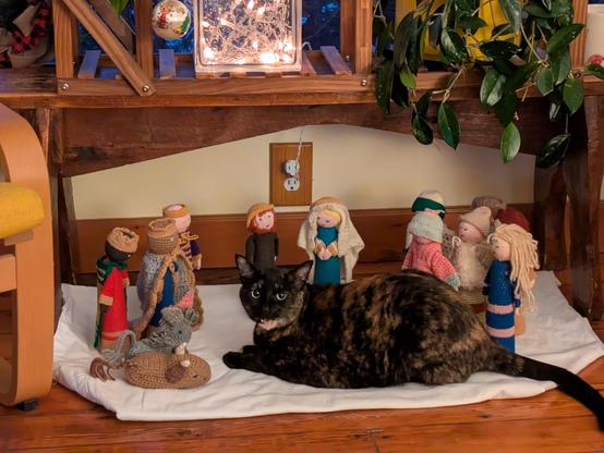 Dark brown and black cat sitting amongst 
hand knitted  nativity scene of characters about 8 inches tall.