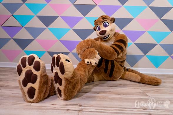Miles sits cutely on the floor, showing off his paws
