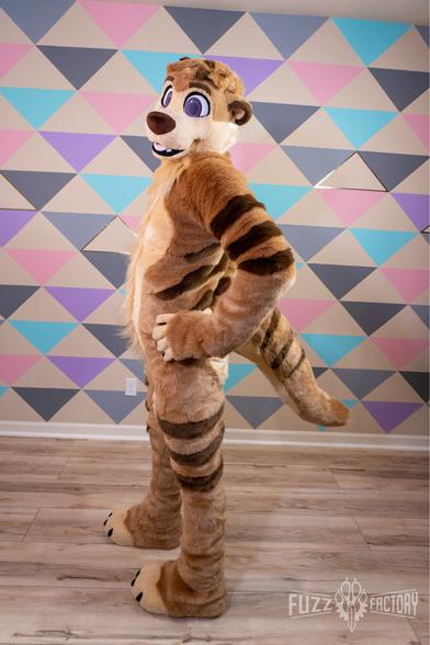 Miles the meerkat looks proud