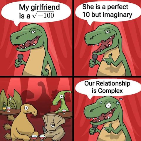My girlfriend is a sqrt(-100)
She is a perfect 10 but imaginary
our relationship is complex