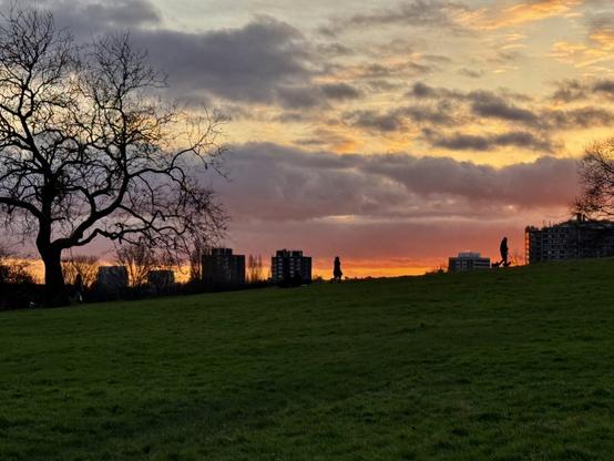 At dusk in a park in North London; orange sky on the horizon, fluffy clouds, bare winter trees, green grass hill