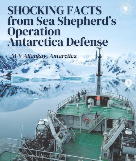 Huge green ship with equipment and crew in front of glaciers, calm white-blue waters 

Text: shocking facts from Sea Shepherd's operation Antarctica Defense 
M/V Allankay, Antarctica

Photo by Youenn Kerdavid