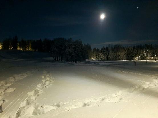 A landscape over a snowy park in the dark. The moon and evening star in the indigo blue dark sky.
