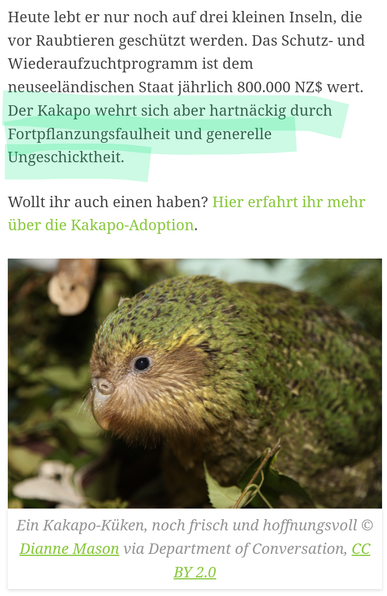 Heute lebt er nur noch auf drei kleinen Inseln, die vor Raubtieren geschützt werden. Das Schutz- und Wiederaufzuchtprogramm ist dem neuseeländischen Staat jährlich 800.000 NZ$ wert.

Der Kakapo wehrt sich aber hartnäckig durch Fortpflanzungsfaulheit und generelle Ungeschicktheit.