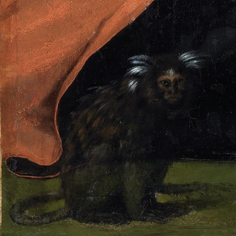 Marmoset in Portrait of Cardinal Antonio Ciocchi del Monte (in lower left corner by his red robe)