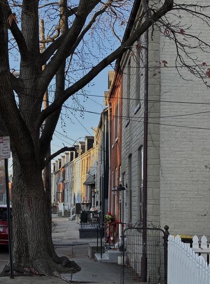 View down a sidewalk.  Bare tree on left and multicolored row homes on right.  Late afternoon sun on the facades of the homes.