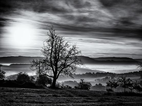 olympus omd - lightroom - silver efex pro - lightroom
