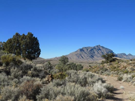 foreground: sagebrush with scattered pinyon-juniper trees, and a narrow two-track road.  Background: rocky mountaintop.