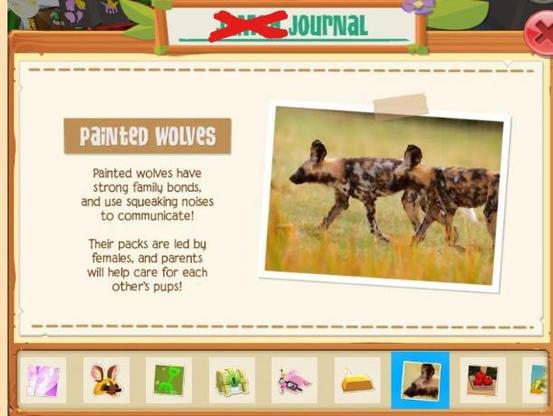 a picture of an Painted Wolf with words describing more about it. The words say "Painted Wolves have strong family bonds, and use squeaking noises to communicate! Their packs are led by females, and parents will help care for each other's pups! " also the post says "These animals are an endangered species of wild dog from sub-Saharan Africa. They may look more like hyenas, but they're more closely related to jackals and wolves!  their threats are in a link here: https://en.wikipedia.org/wiki/African_wild_dog#Threats ."