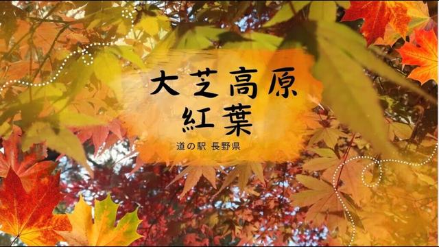 道の駅「大芝高原」紅葉　長野県