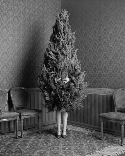 Photography. A black and white photo of a fir tree in which a woman appears to be stuck. The unusual photograph shows a room with two-part patterned wallpaper, a patterned floor and three old-fashioned looking chairs on the wall. In this corner of the room is a woman stuck in a fir tree. You can only see her slender legs at the bottom and two hands sticking out of the tree in the middle. A very funny photo that would be perfect for a Christmas card. Every year again