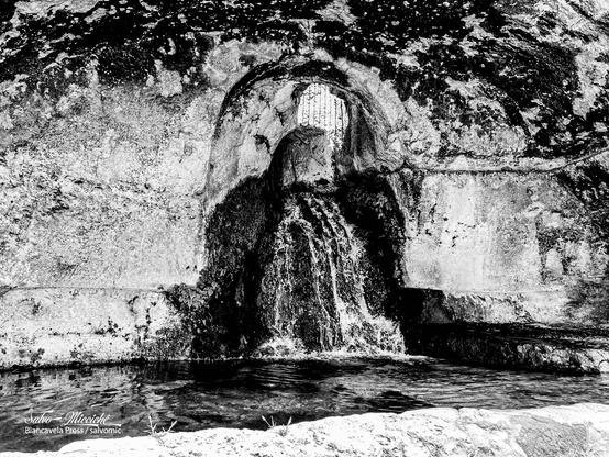 Ninfeo (Siracusa, Sicily 🇮🇹)

#monochrome #antiquity #mithology #siracusa #waters #sicily #momo