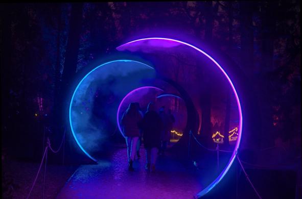 bild bei nacht im querformat.
im botanischen garten, in einem kleinen wäldchen führt ein weg durch halbrunde bögen, die blau/lila lichter abgeben und nebelschwaden erzeugen. dadurch laufen menschen die isch gegenseite eingehakt haben. im hintergrund erkennte man lichterketten