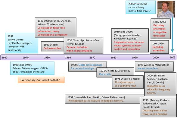 Timeline showing the progress that needed to be made to recognize that rats think about the future, starting from Evelyn Gentry's observations in 1931 and concluding with Adam Johnson's observations in 2005.  See text in Redish (2025) Mental Time Travel: A retrospective in the journal Hippocampus for full description of the journey.