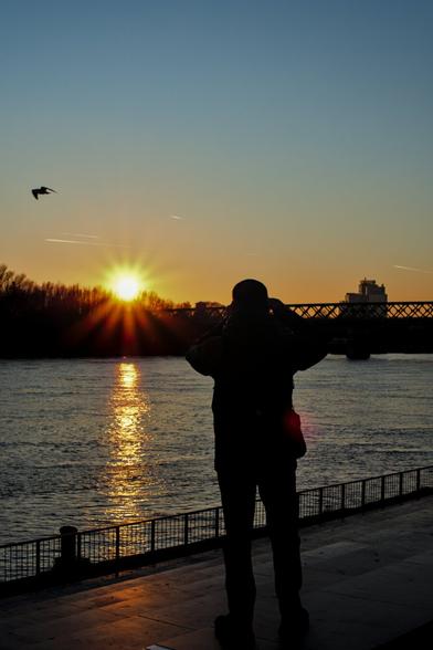 Al sol o al pájaro?/ Taken a pic of the sun or of the bird?