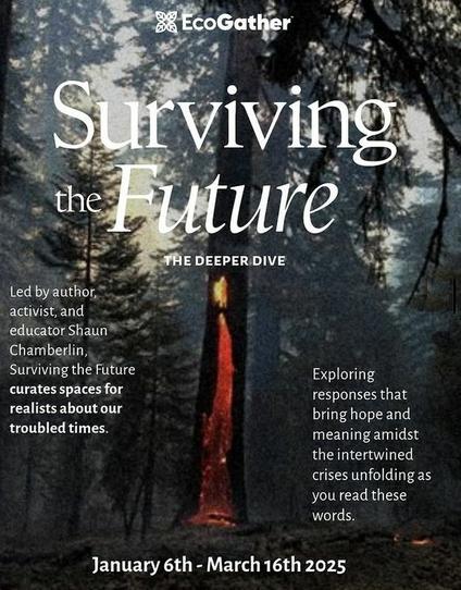 An image of a tree glowing red-hot from the inside, amidst a smouldering forest.

Over it is the text "Surviving the Future: The Deeper Dive" and some further details about the program.