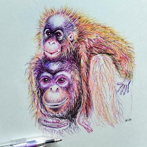 Multicolored ballpoint pen drawing of a female orangutan carrying her child on her back.