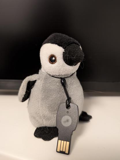 A stuffed toy with a shape of a pengüin, with a USB key attached to its neck.