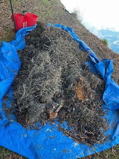 Metal shavings on a tarp alongside the Bay